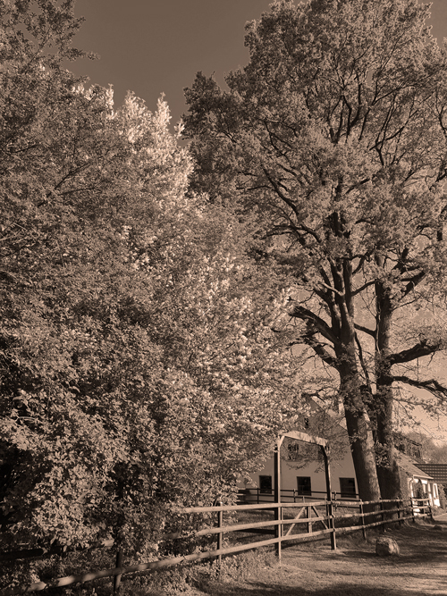 Open Rach - Einfahrt