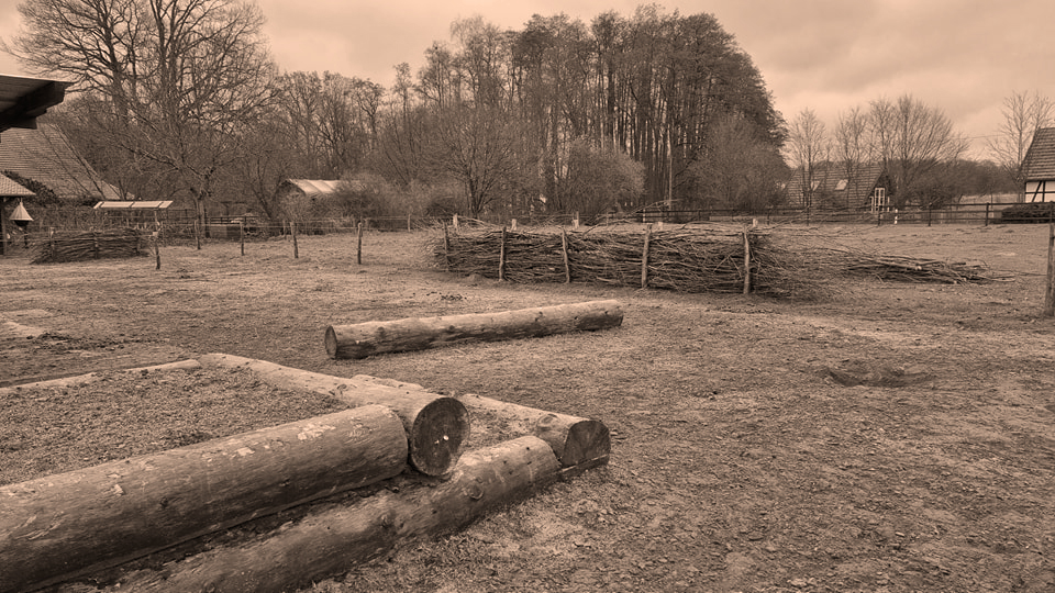 Open Ranch - Paddockanlage mit Naturhindernissen