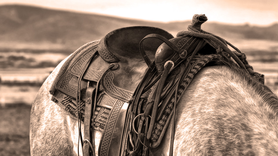 Westernsattel auf einem Pferd.